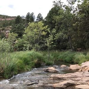 Meet your Posher, Lucy